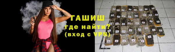 гашик Алексин
