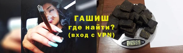 гашик Алексин