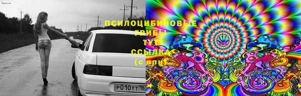 мдпв Абдулино