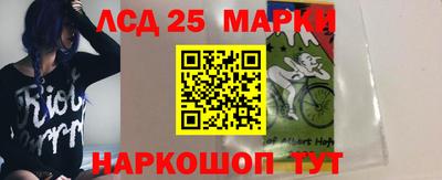 индика Обнинск