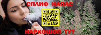 индика Обнинск