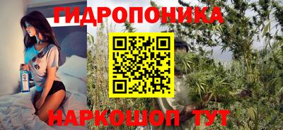 дмт Обь