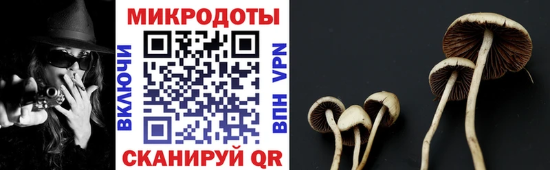 Галлюциногенные грибы ЛСД  купить наркотики сайты  Тобольск 
