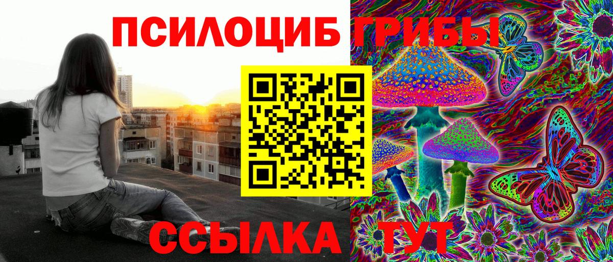 Псилоцибиновые грибы прущие грибы Тобольск