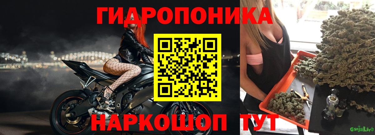 Каннабис тримм Тобольск